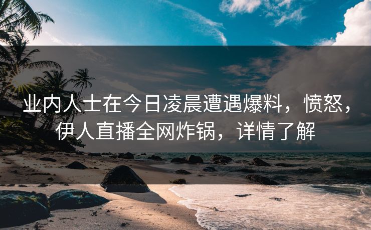 业内人士在今日凌晨遭遇爆料，愤怒，伊人直播全网炸锅，详情了解