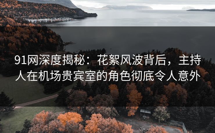 91网深度揭秘：花絮风波背后，主持人在机场贵宾室的角色彻底令人意外